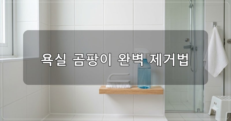 욕실 곰팡이 제거 방법 실리콘과 타일 줄눈별 청소 팁