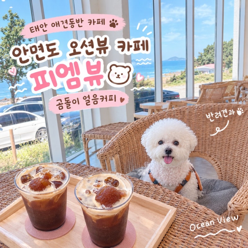 태안 안면도 애견동반 카페｜오션뷰가 예쁜 피엠뷰 솔직후기 (+곰돌이 얼음커피)