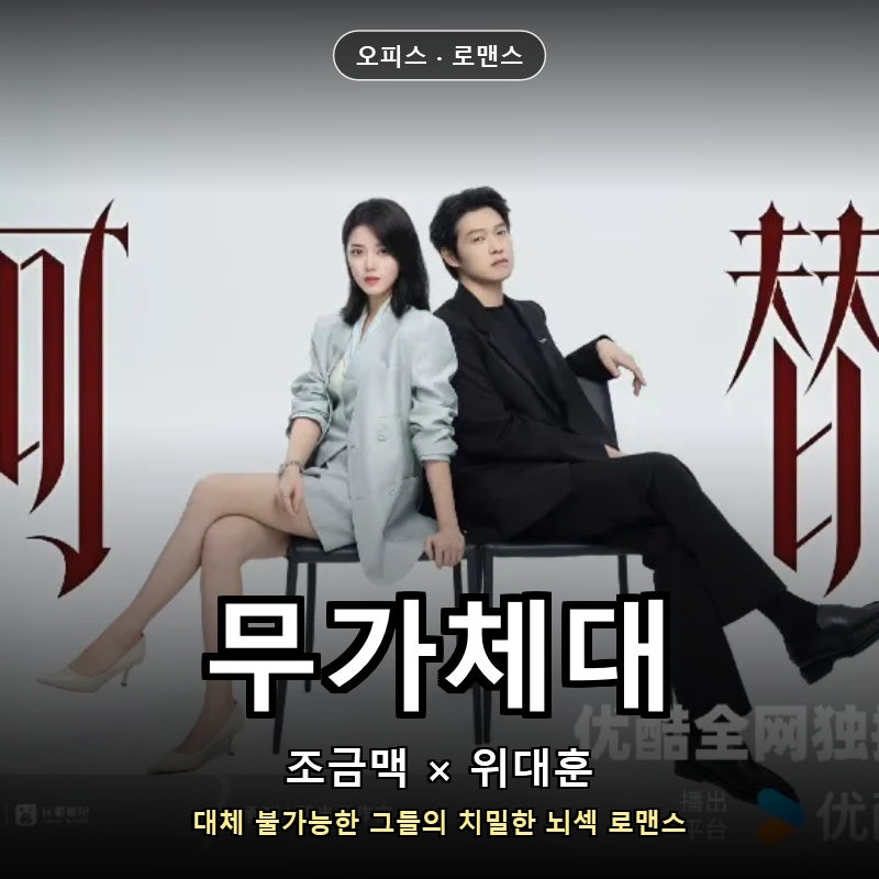 [중드/넷플신작] 무가체대(无可替代) 조금맥x위대훈 / 줄거리·원작 정보 & 해피엔딩 결말 예....