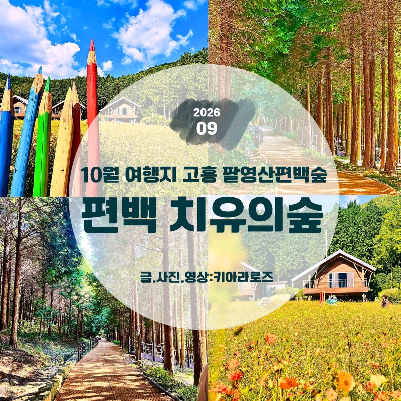 고흥 가볼만한곳 | 팔영산 편백치유의숲, 10월 가을 코스모스 꽃밭과 힐링 산림욕장