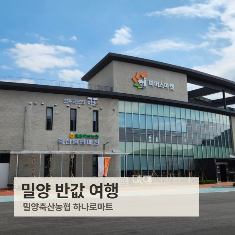 반값으로 다녀온 밀양 당일치기 여행, 일주일 만에 환급받은 후기