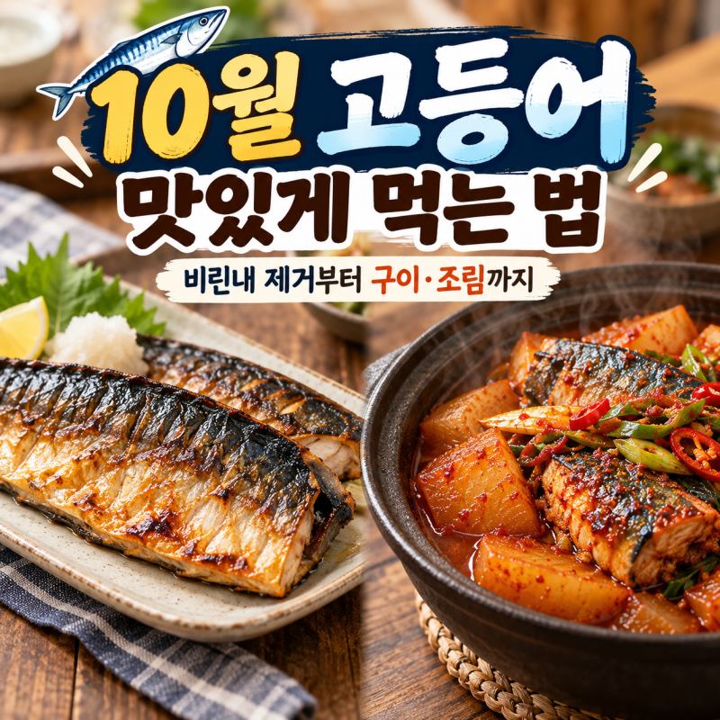고등어 제철은 언제? 비린내 제거부터 구이·조림 맛있게 만드는 법