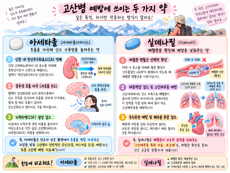 아세타졸 실데나필 비교