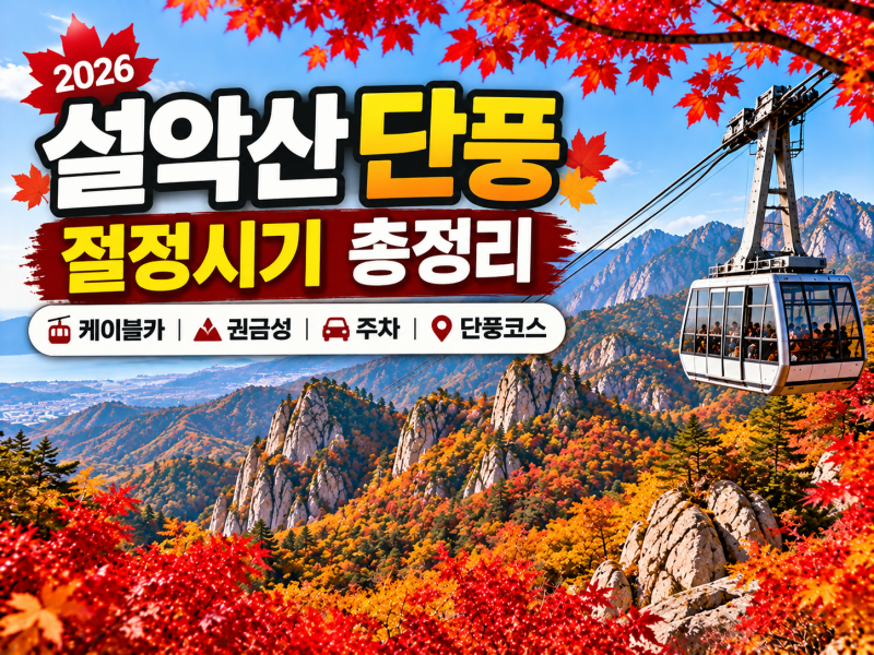 2026 설악산 단풍 절정시기｜케이블카·권금성·주차·단풍코스 총정리