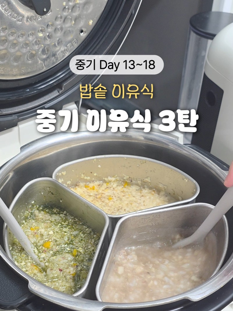 중기 밥솥이유식 레시피 3탄! 꿈비 10인용 밥솥칸막이 황금비율 공유
