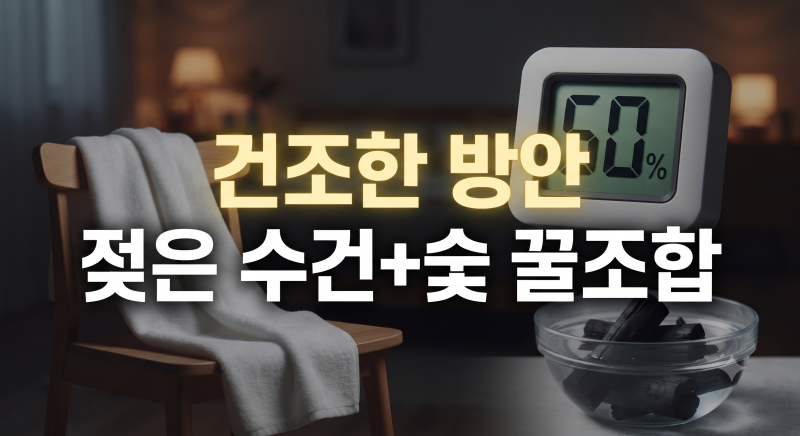 건조한 방안 가습기 꺼내기 전 젖은 수건과 숯으로 습도 50% 맞춘 팁