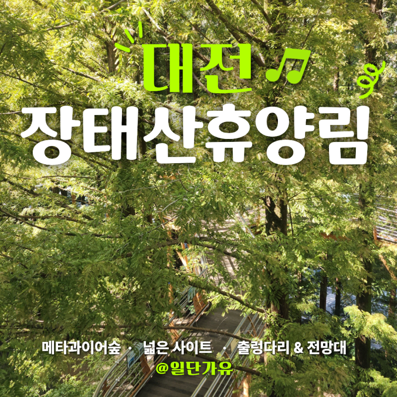 장태산 자연휴양림 10월 단풍 캠핑｜오토캠핑 메타세쿼이아 숲 산책까지