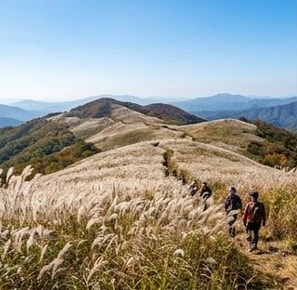 2026 정선 민둥산 억새축제 최단 등산코스 주차장 가을 산행 돌리네 총정리