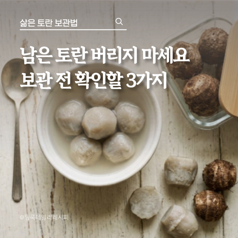 남은 토란 냉장보관 며칠? 삶은 토란 보관법 정리