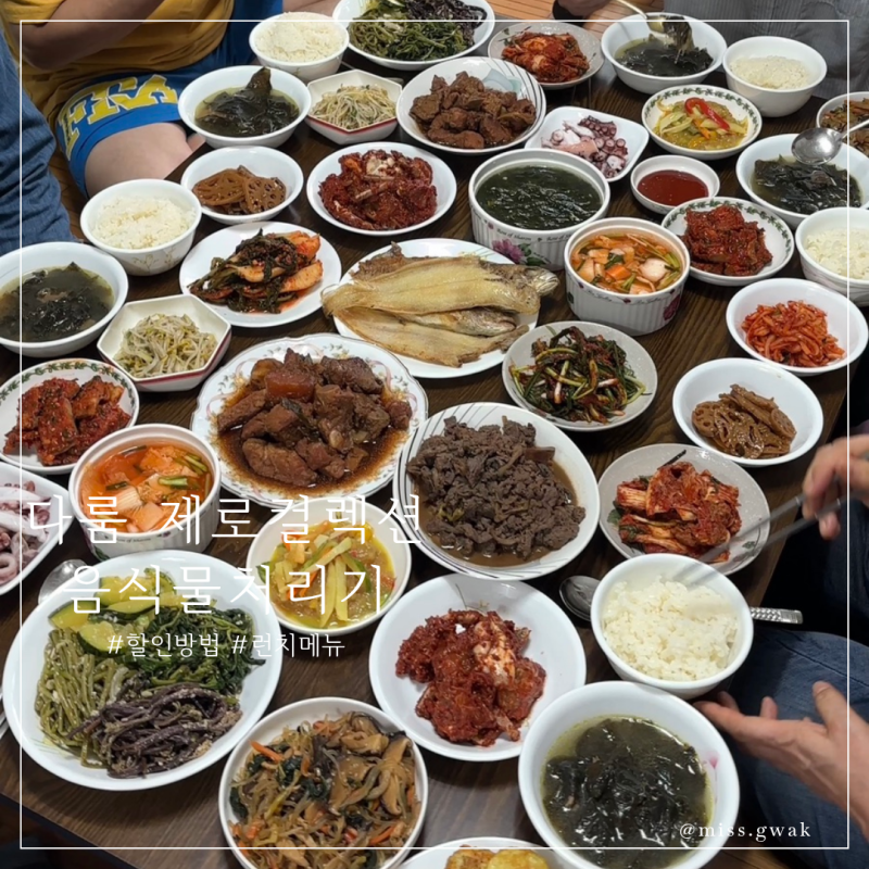 가정용음식물처리기 대용량 다룸 제로컬렉션 잔반처리해결한 후기