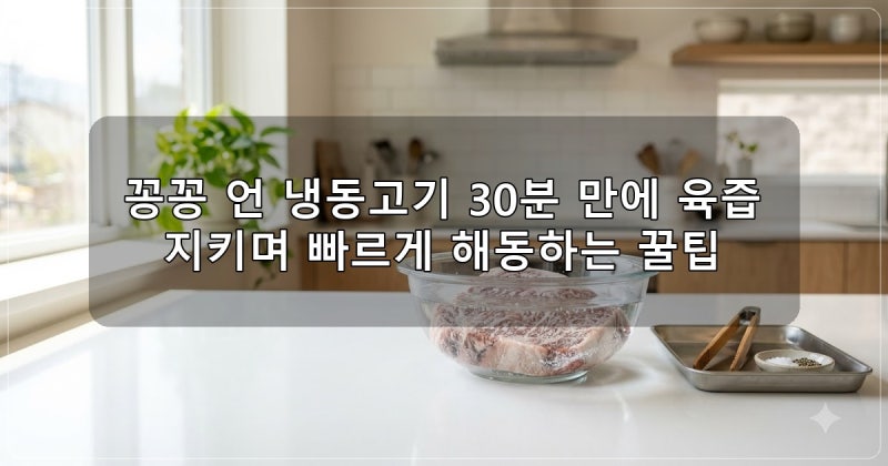 냉동고기 빨리 해동하는 안전한 3가지 방법과 육즙 지키는 요령