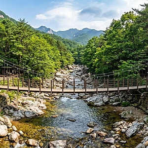 의왕 청계산 등산코스 초보 추천! 맑은숲공원 무장애 데크길부터 청계사·매봉까지 총정리