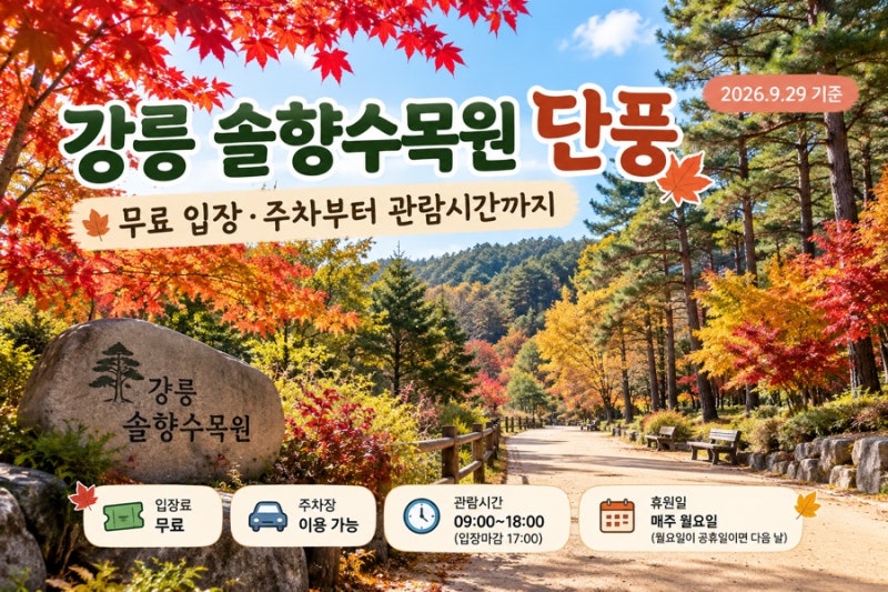 2026 강릉 솔향수목원 단풍 시기...무료 입장·주차·관람시간 총정리