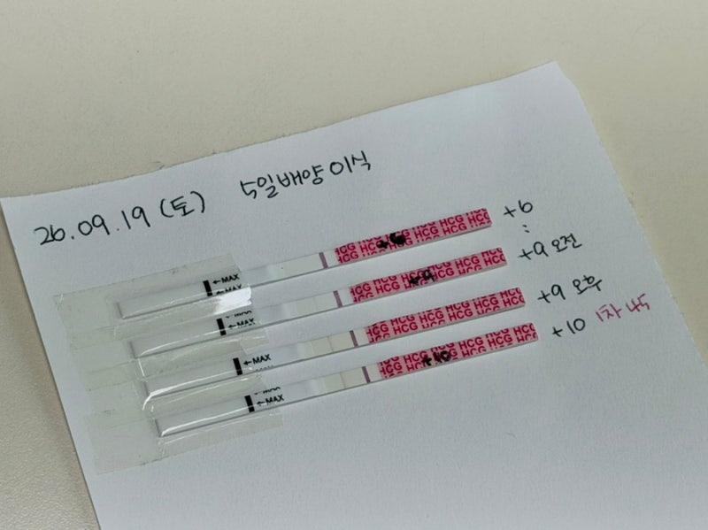 시험관 #5 동결 이식 5일 배양 이식 후 임테기 진하기, 1차 피검 낮은 수치