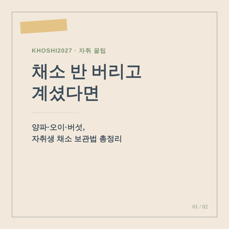 자취생 채소 보관법 총정리 — 양파·오이·버섯, 이렇게 두면 일주일 더 갑니다