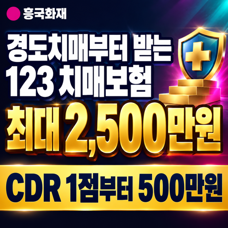 치매보험은 경도치매부터 받으셔야 합니다, 흥국화재 123 치매보험 3단계 최대 2,500만원