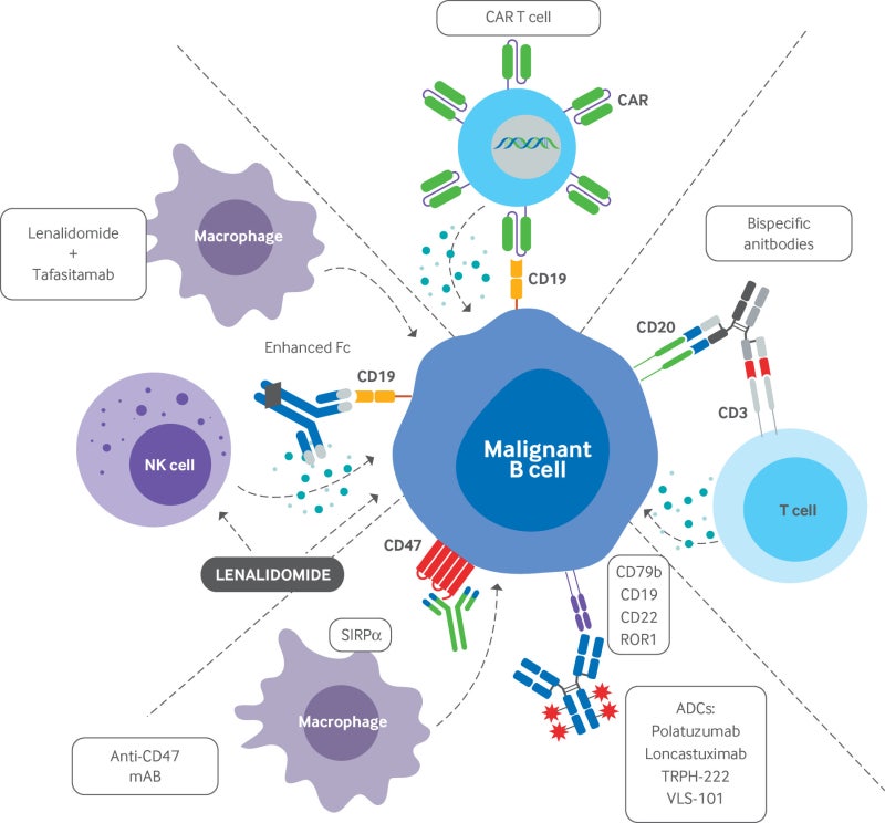 림프종 Lymphoma: 의료진·병원·연구 디렉토리 2026