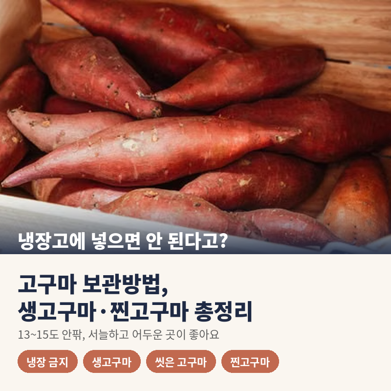 고구마 보관방법, 냉장고에 넣어도 될까? 찐고구마·씻은 고구마까지
