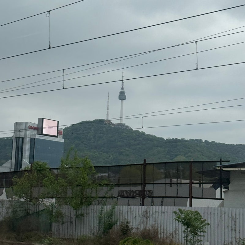 갑상선암 치료 기록 #6 [갑자기 배제되는 업무들, 세브란스병원 재진]