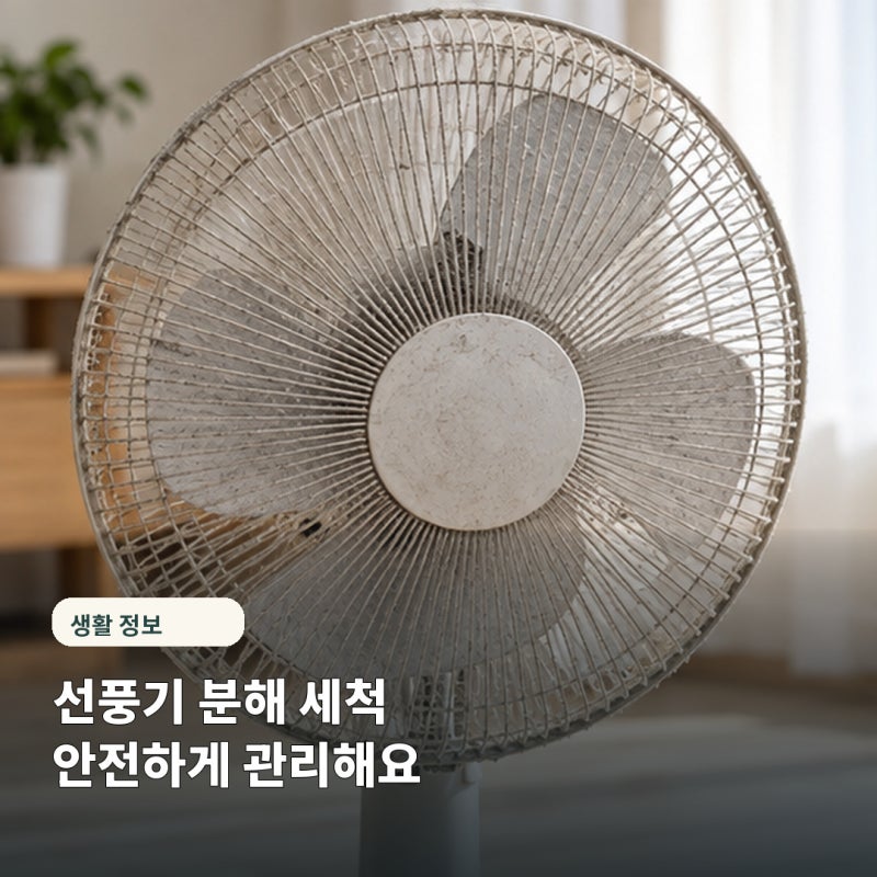 "먼지 이렇게 많았다고?" 선풍기 분해 세척법, 10분이면 끝나요