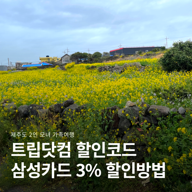 트립닷컴 할인코드 | 제주도 항공권 2인 삼성카드 3% 적용한 예약 후기