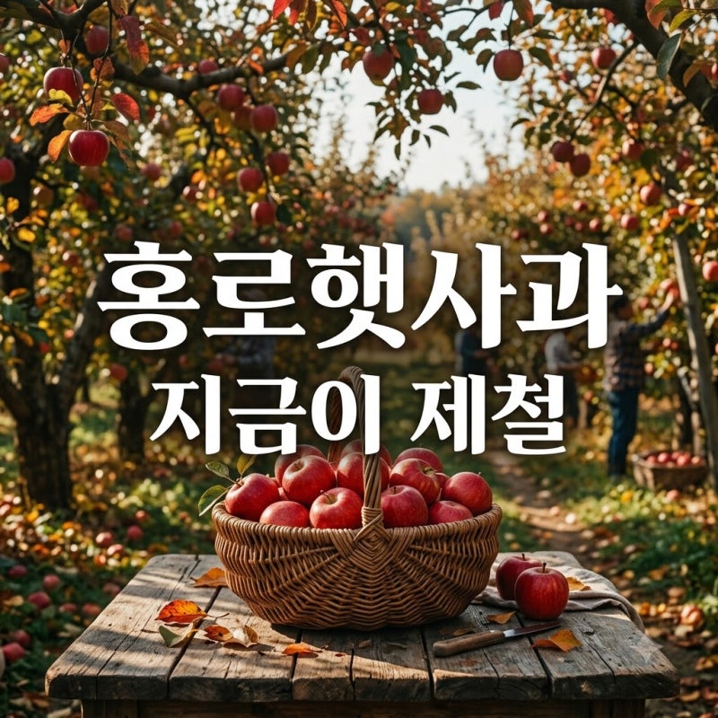 "설탕 뿌린 줄 알았네.." 홍로햇사과 지금 안 먹으면 1년 기다리는 이유
