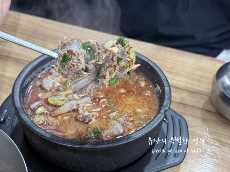 속초 맛집 단천식당 아바이마을 오징어순대 순대국밥 아기랑 후기