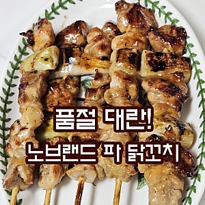 품절 대란! 노브랜드 냉동식품 추천 숯불데리야끼 파 닭꼬치 솔직 후기(가성비 맥주 안주 종....