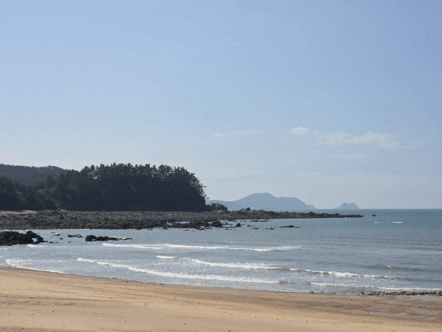 충남 태안 파도리카페 해식동굴 파도리해수욕장 주차장 물때시간표 인생샷 명소