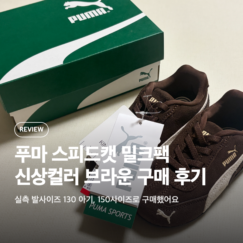 푸마 스피드캣 밀크팩 브라운 베이비 150 사이즈 구매후기