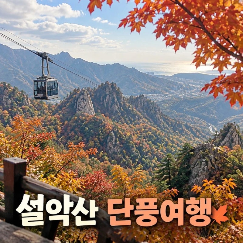 설악산 첫 단풍 시기 당일치기 여행 코스