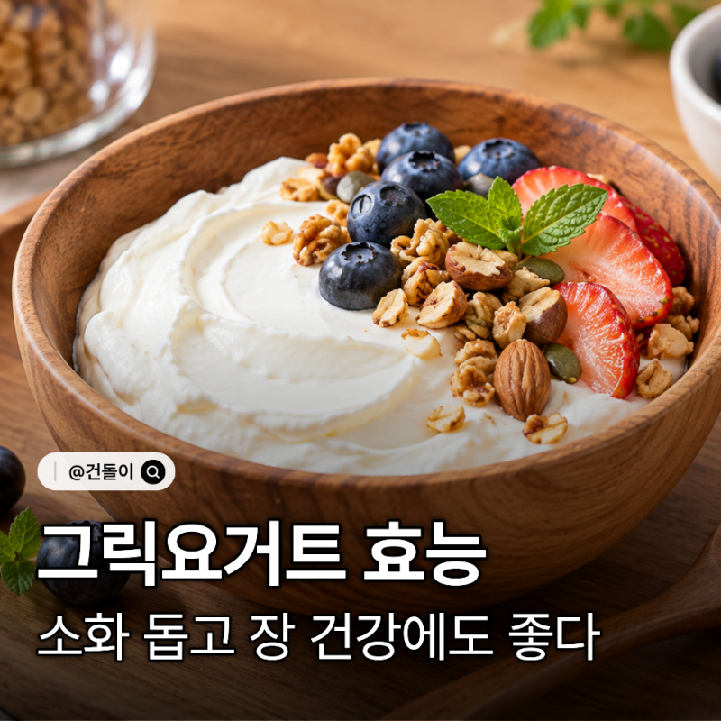 그릭요거트 효능 소화 돕고 장 건강에도 좋다