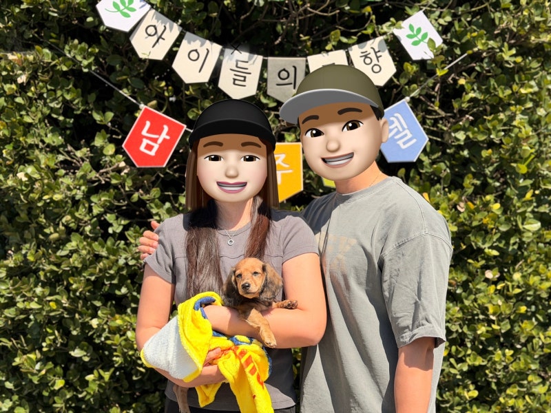 장모닥스훈트분양|우리 보슬이가 가족을 만났어요!