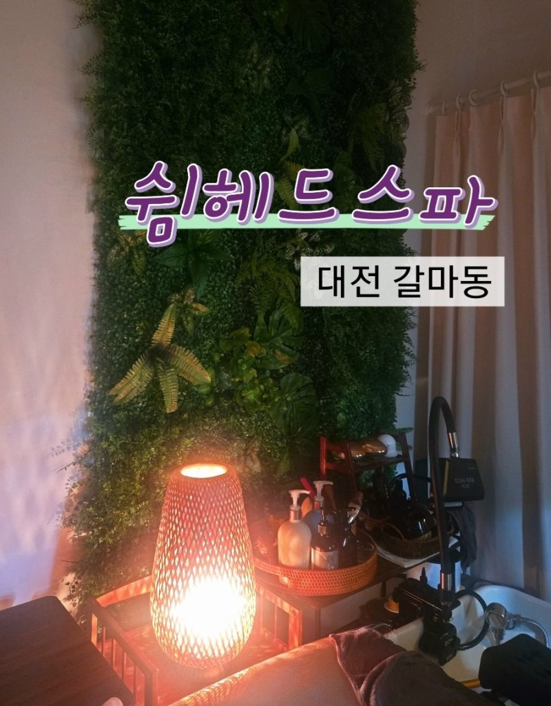 대전 서구 | 대전헤드스파 · 갈마동 쉼헤드스파 · 진단부터 두피, 데콜테 관리까지 · 머리....