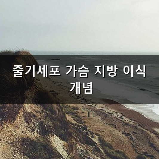 줄기세포 가슴 지방 이식 생착률이 달라지는 이유가 궁금할까?