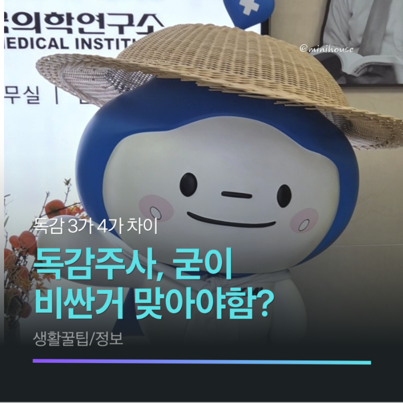 "굳이 더 비싼 거 맞아야 함?" 독감 3가 4가 차이 알고 광주 KMI 오픈런 접종 후기