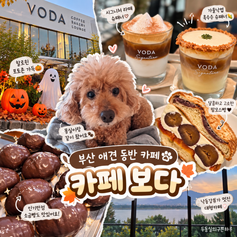 부산 애견 동반 카페 카페 보다｜낙동강뷰 대형카페 뭉실이와 다녀온 후기
