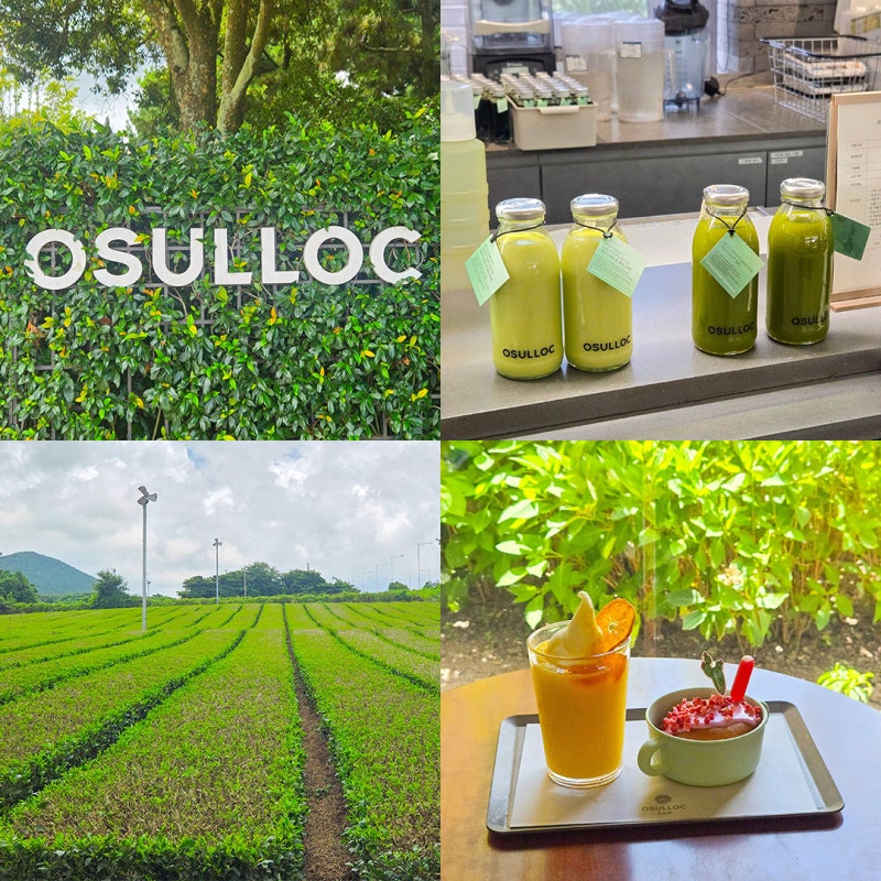 濟州西歸浦必訪景點 O'Sulloc茶博物館 紀念品與看點