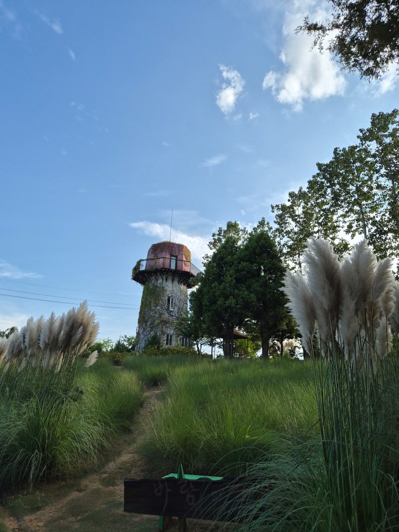 Places to Visit in Taean / Taean Farm Kamille Herb Garden and Padori Beach
