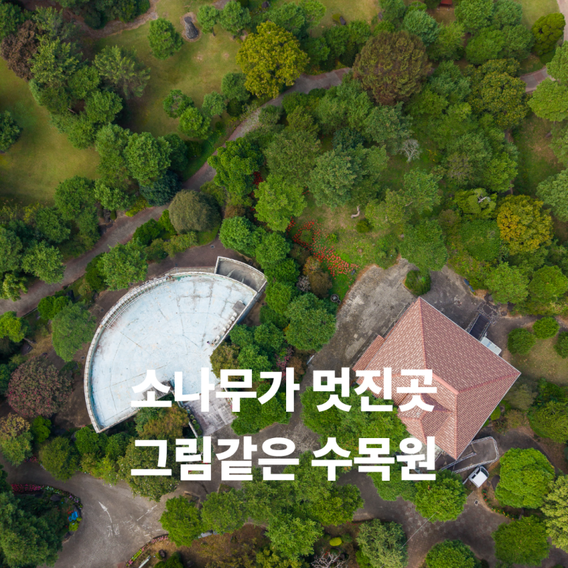 충남 홍성가볼만한곳 광천 그림같은수목원 상사화만발