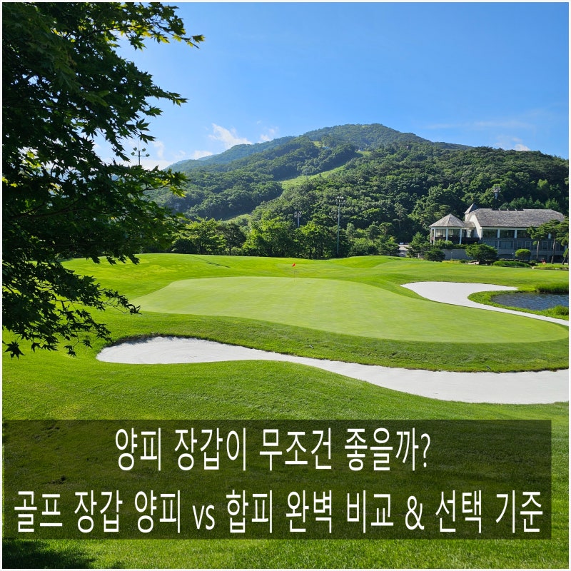 골프 장갑 양피 vs 합피 차이점과 내게 맞는 장갑 선택 기준 3분 정리