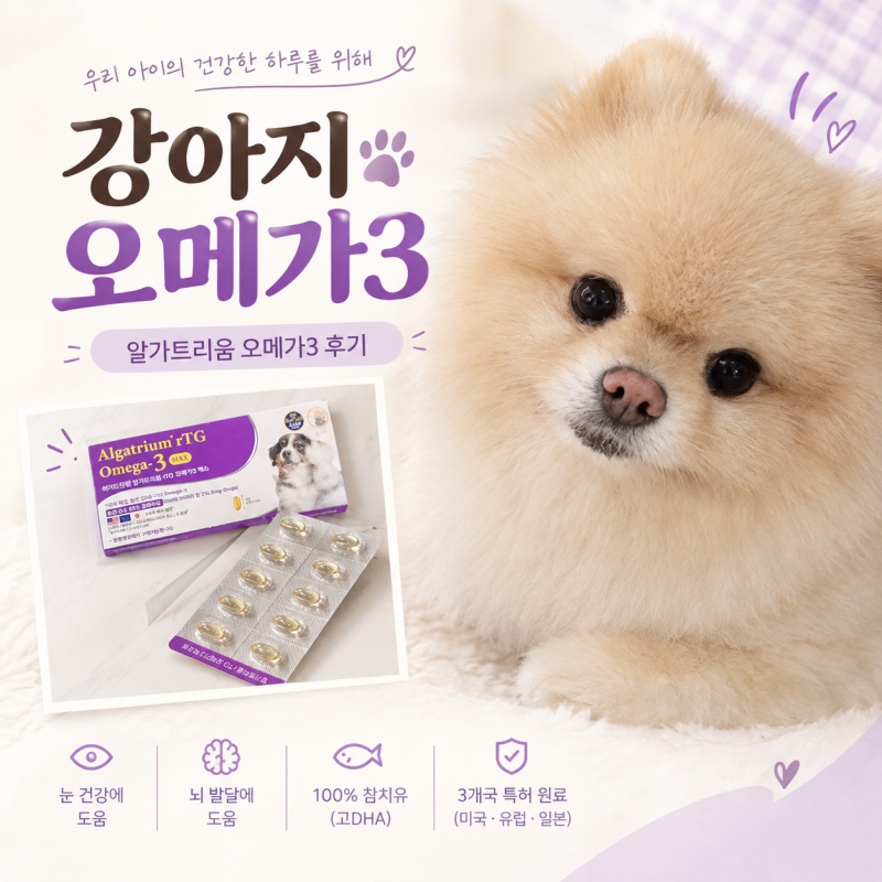 강아지 오메가3 추천, DHA 함량까지 비교해보고 고른 알가트리움 후기