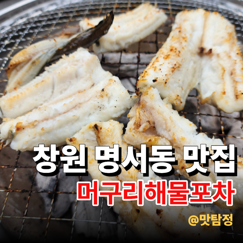 창원 명서동 맛집 머구리해물포차, 가성비 장어구이를 즐기는 명서동 술집 단체회식장소 추....