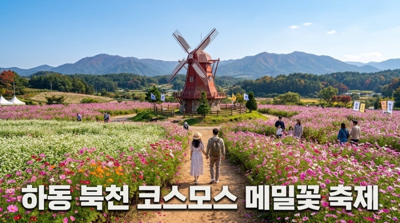 하동 북천 코스모스 메밀꽃 축제 기본정보와 레일바이크 예약 가격 주차장 안내