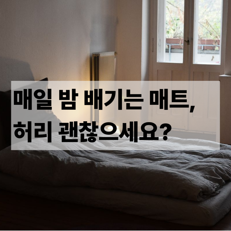 허리 걱정 없는 1인용접이식매트리스 후기 (12cm·14일 체험)