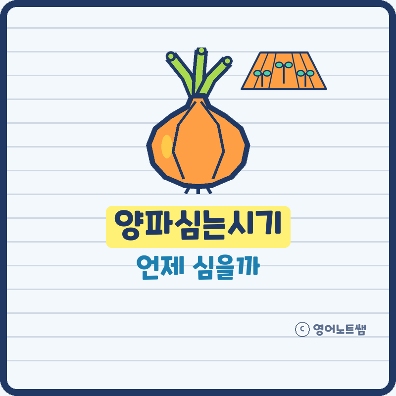 양파심는시기 언제? 가을 양파모종 심기 방법 간격 마늘까지 (기본정보)