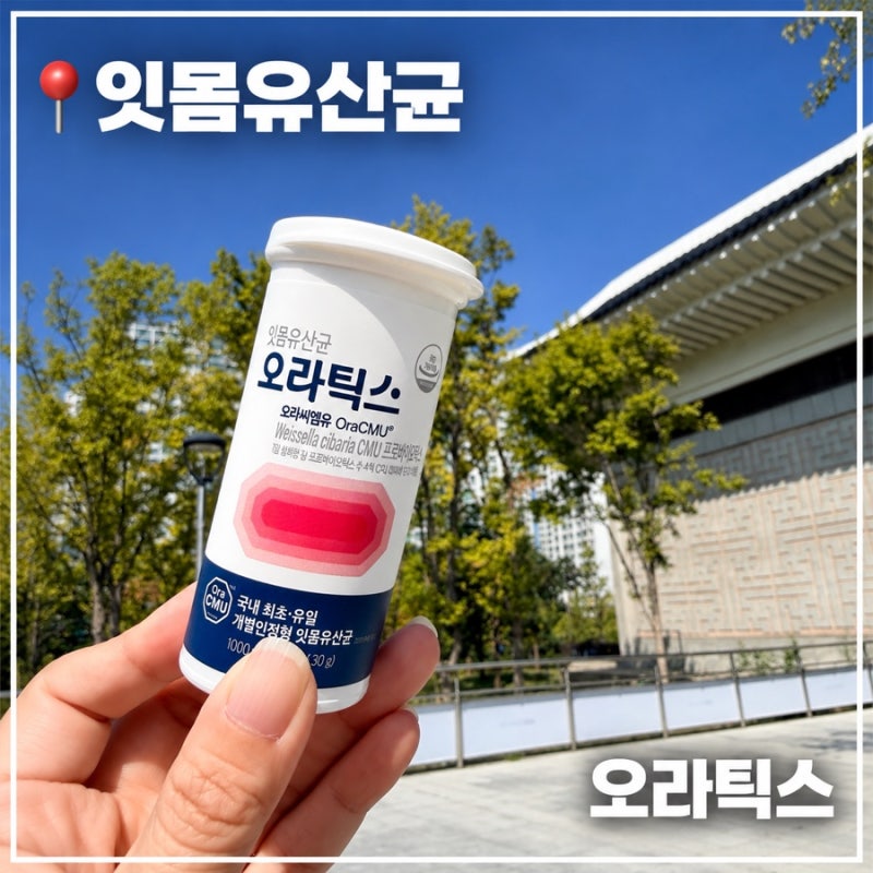구강유산균 잇몸유산균 오라틱스 잇몸건강까지 생각한 하루 한 정