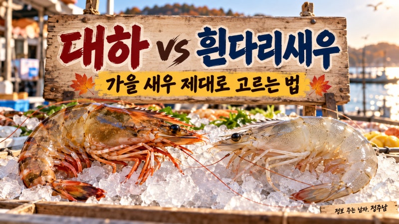 대하와 흰다리새우 어떻게 구별할까｜가을 새우 고르는 법·손질·보관 총정리