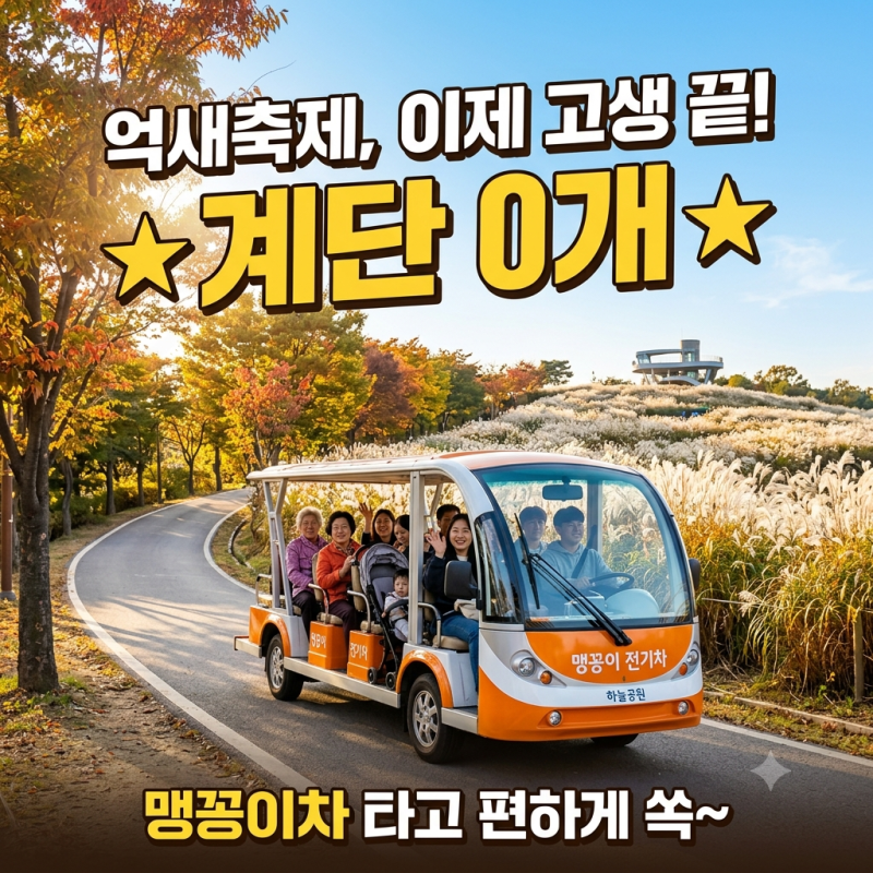 하늘공원 억새축제, 계단 없이 올라가는 법 3가지