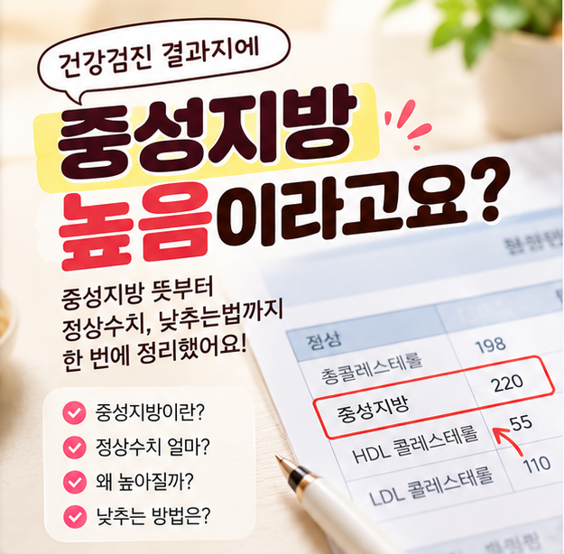 중성지방 높으면 살 때문일까? 정상수치부터 중성지방 낮추는법까지